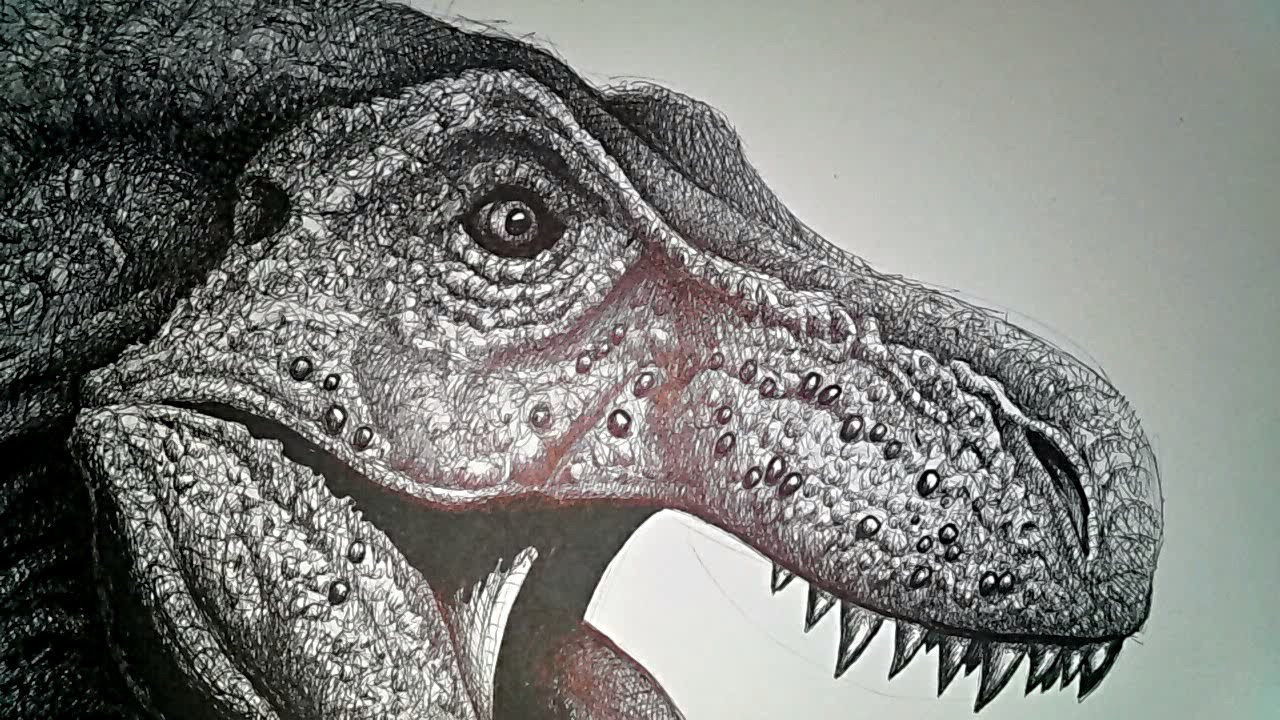 T Rex Dinosaur Drawing at GetDrawings | Free download