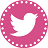 Twitter Link
