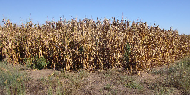 Oklahoma-2