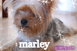 Glitter Photos