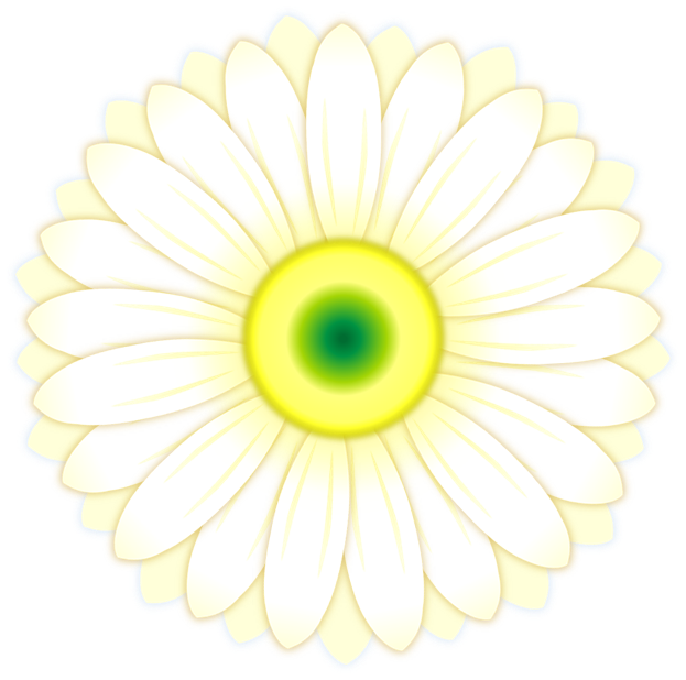 白いガーベラの花のイラスト 無料イラスト素材 ちいさないきもの