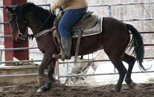 Midwest Mustang Challenge