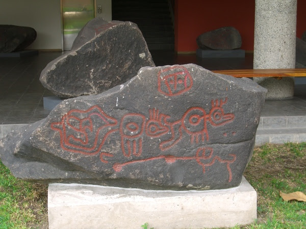 CIMG1650.JPG