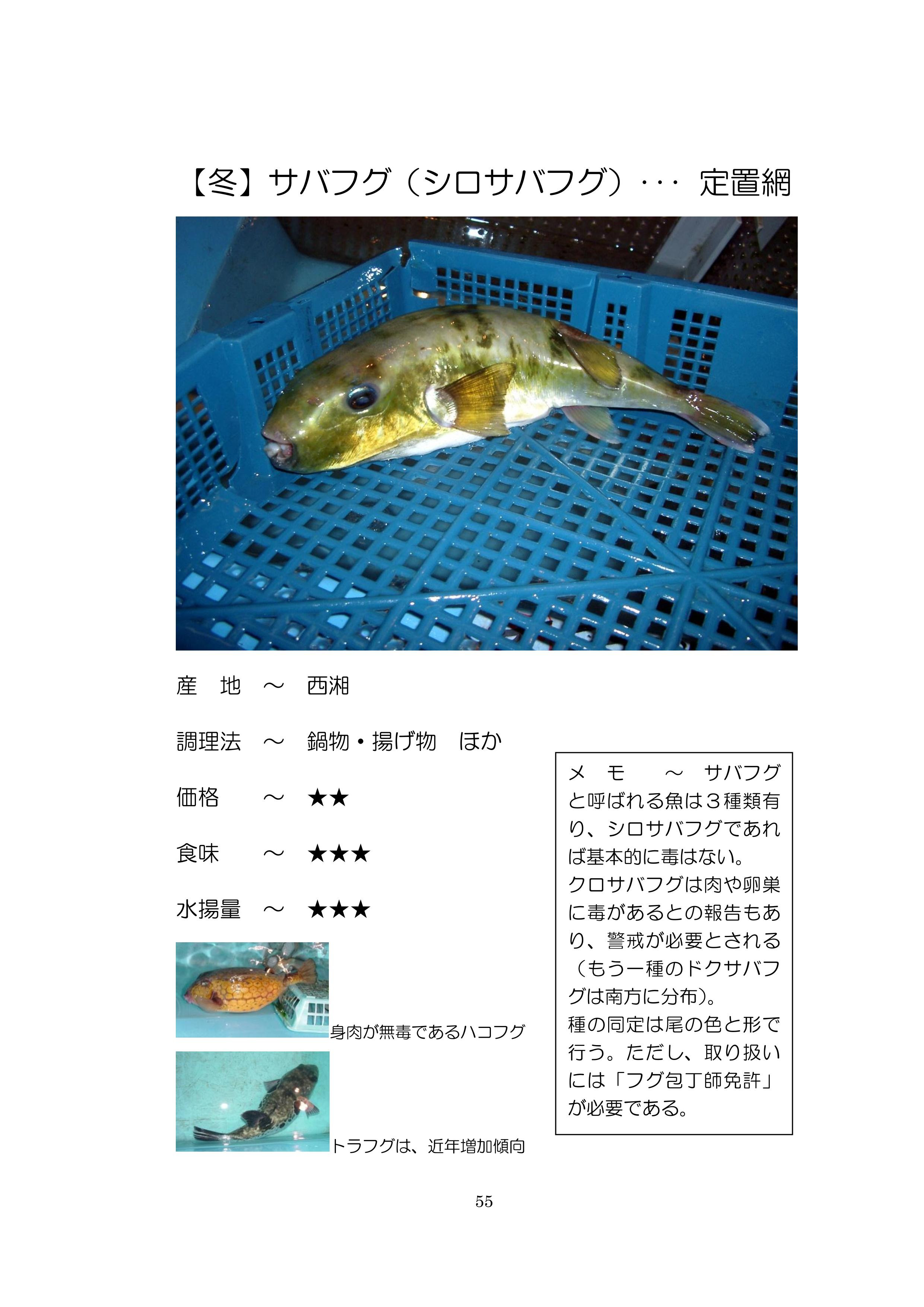 小田原地魚図鑑 小田原の地魚 Sp Ver