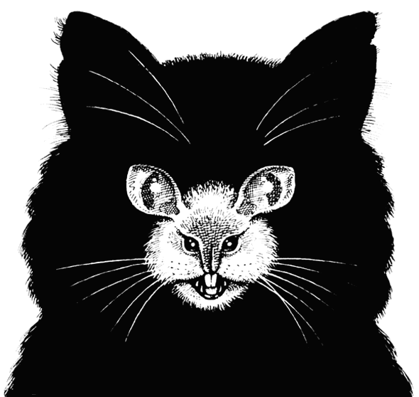Cat and Mouse
