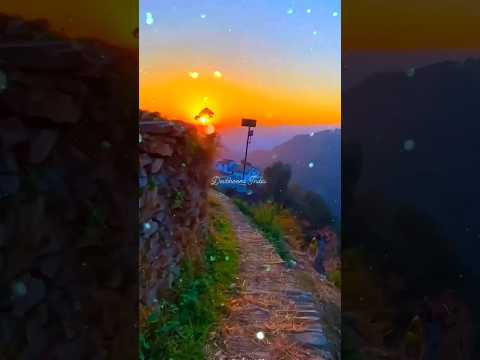 चित्र