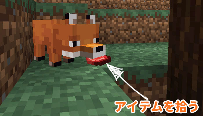 マイクラ キツネのスポーン地域と手懐け 繁殖方法 かわいいキツネのふるまいって マイクラモール