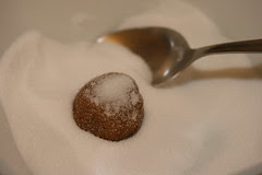 Food Librarian - Ginger Spice Cookies (Bon Appetit)