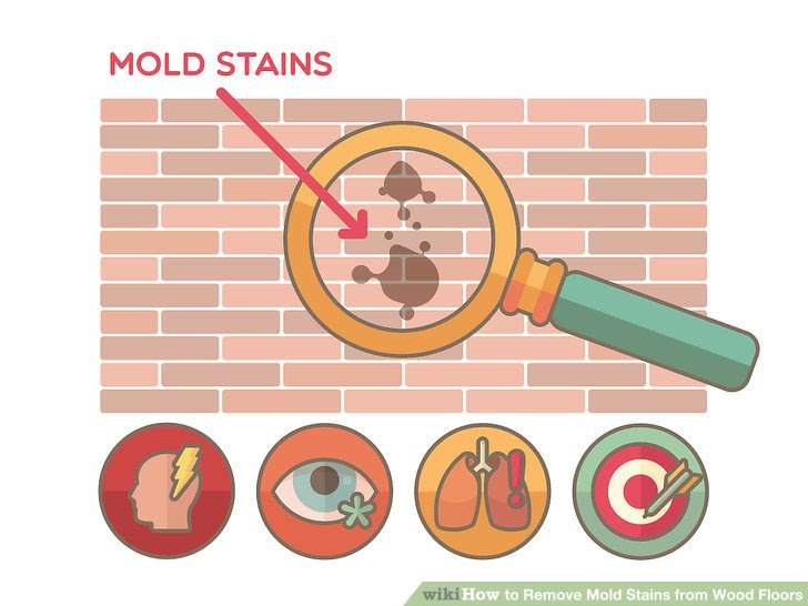 Remove Mold Stains from Wood Floors Step 1 Version 3.jpg