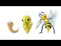 [10000ダウンロード済み√] ポケモン こくーん 262686-ポケモン コクーン 後ろ姿