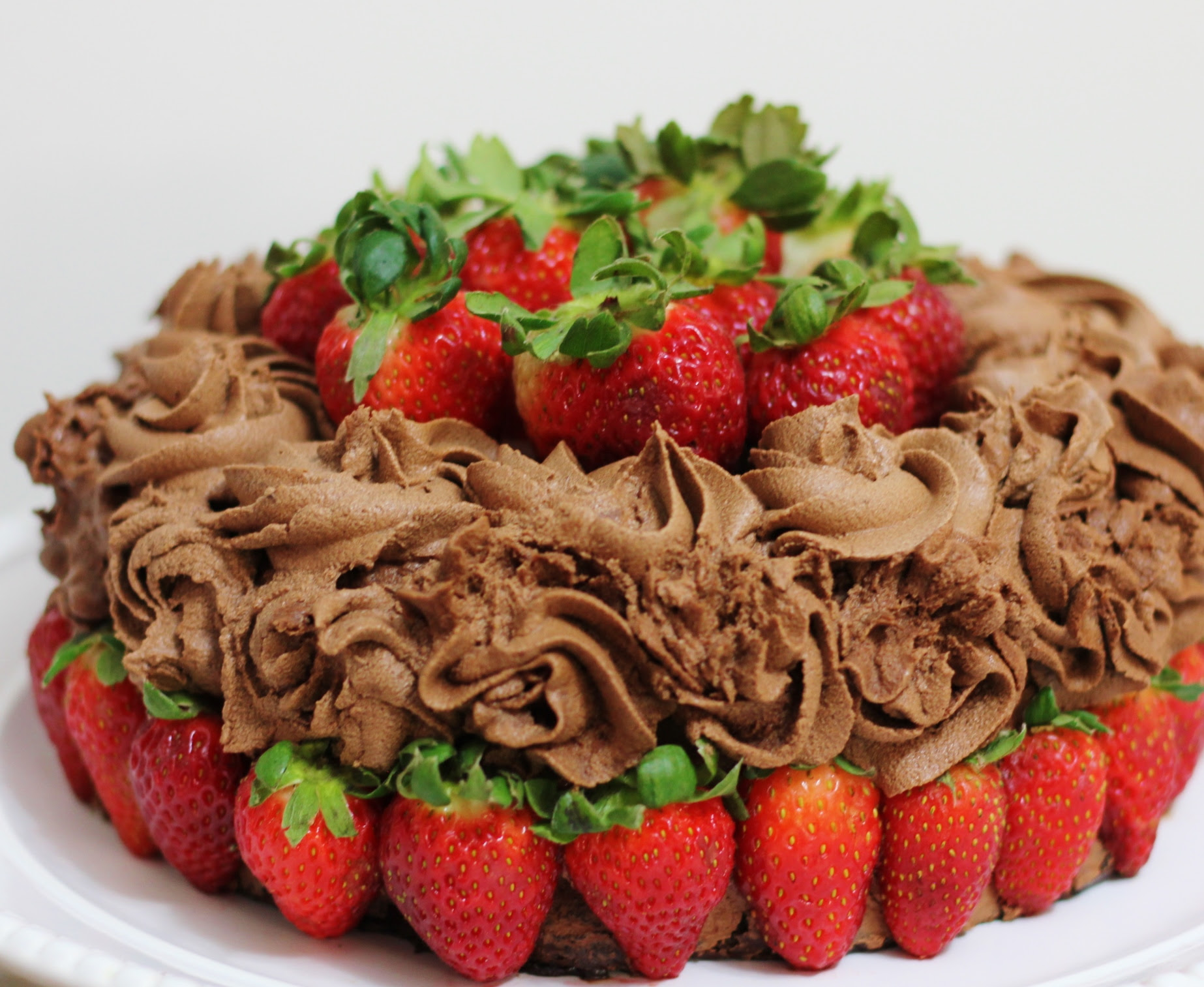 The Ultimate Chocolate Birthday Cake (gluten-free, dairy-free, egg-free ...
