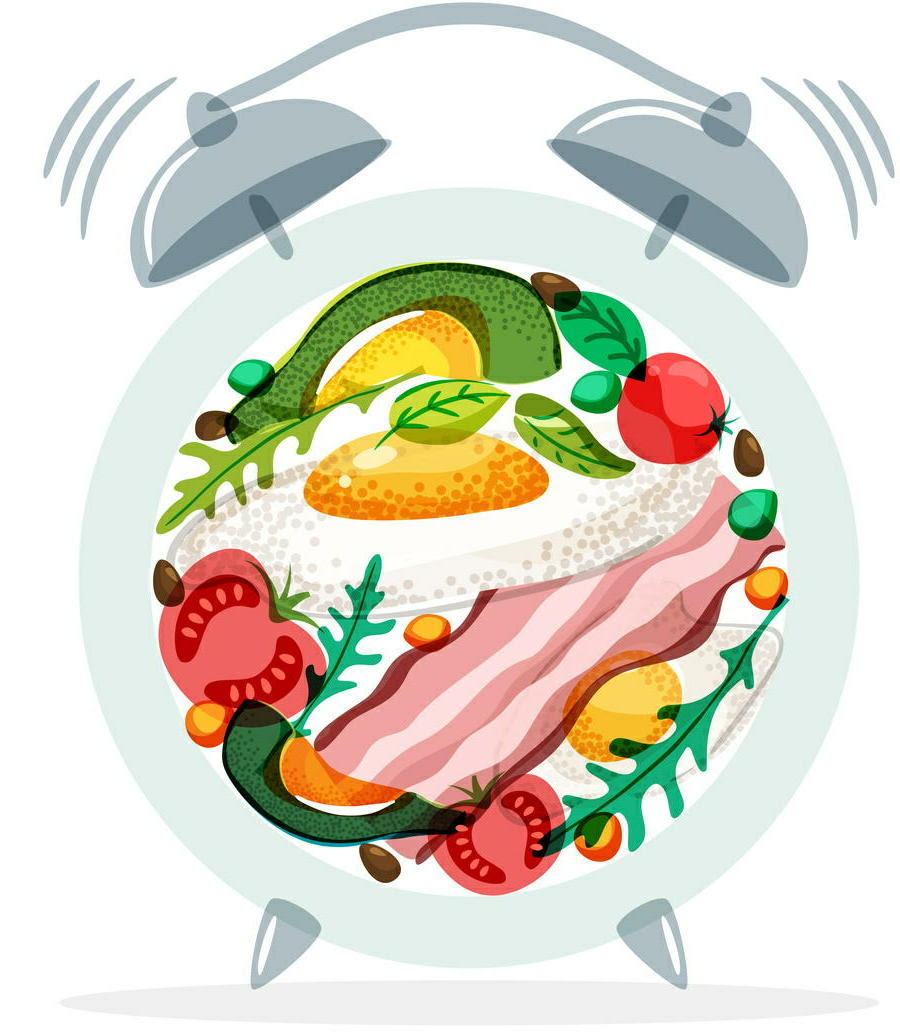 時間栄養学 の新たな発見 食事のタンパク質が 体内時計 を調整 ニュース 一般社団法人 日本生活習慣病予防協会