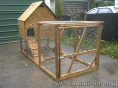 Free chicken coop plans DIY | Shared fun | Pinterest