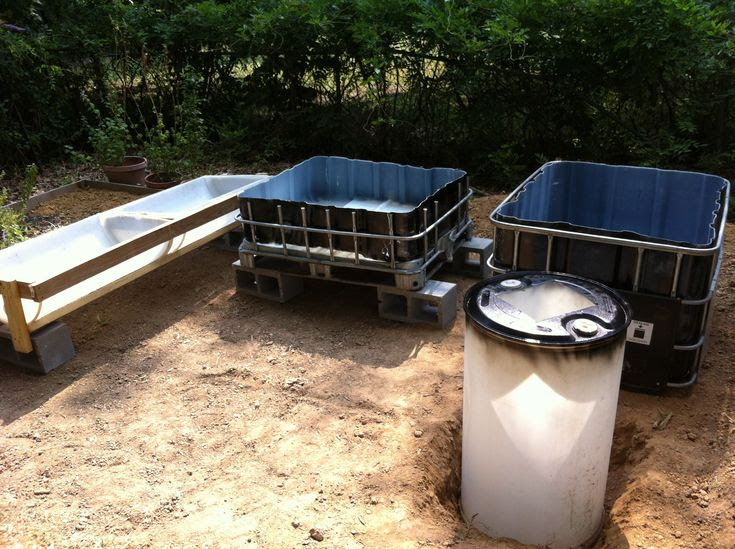 IBC Fish Tank and Barrel Grow Beds | Aquaponics | Pinterest