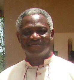 Image illustrative de l'article Peter Kodwo Appiah Turkson