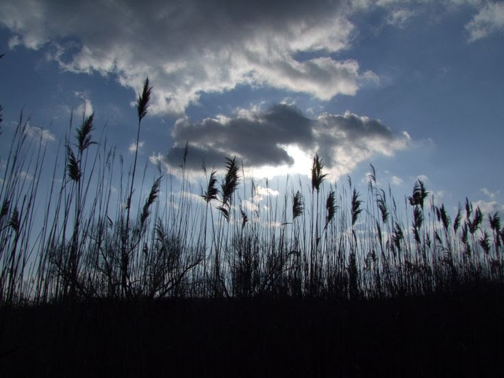 019d84e9e73e3f211dc25893ea59628e