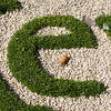 letter e