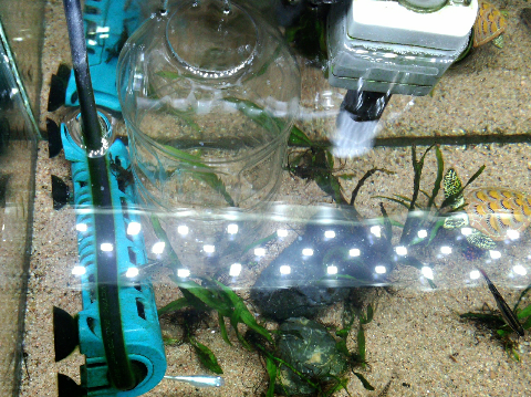 にゃろめの水槽 ペットボトルのサテライト