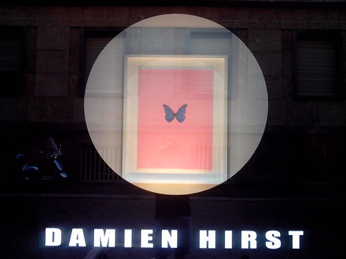 La farfalla di Damien Hisrt by Ylbert Durishti