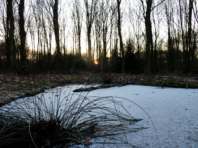 Crépuscule Polaire
