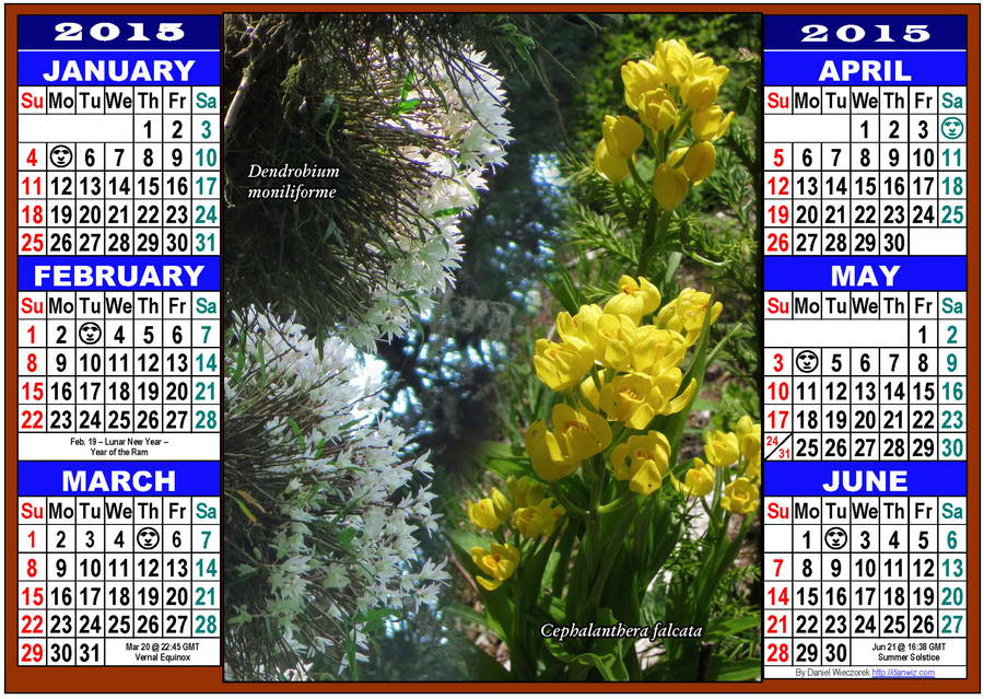 15 Usa Japanese International Calendars Pdf Kindle And Print Editions