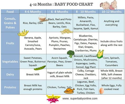 indian baby food chart    months   recipes
