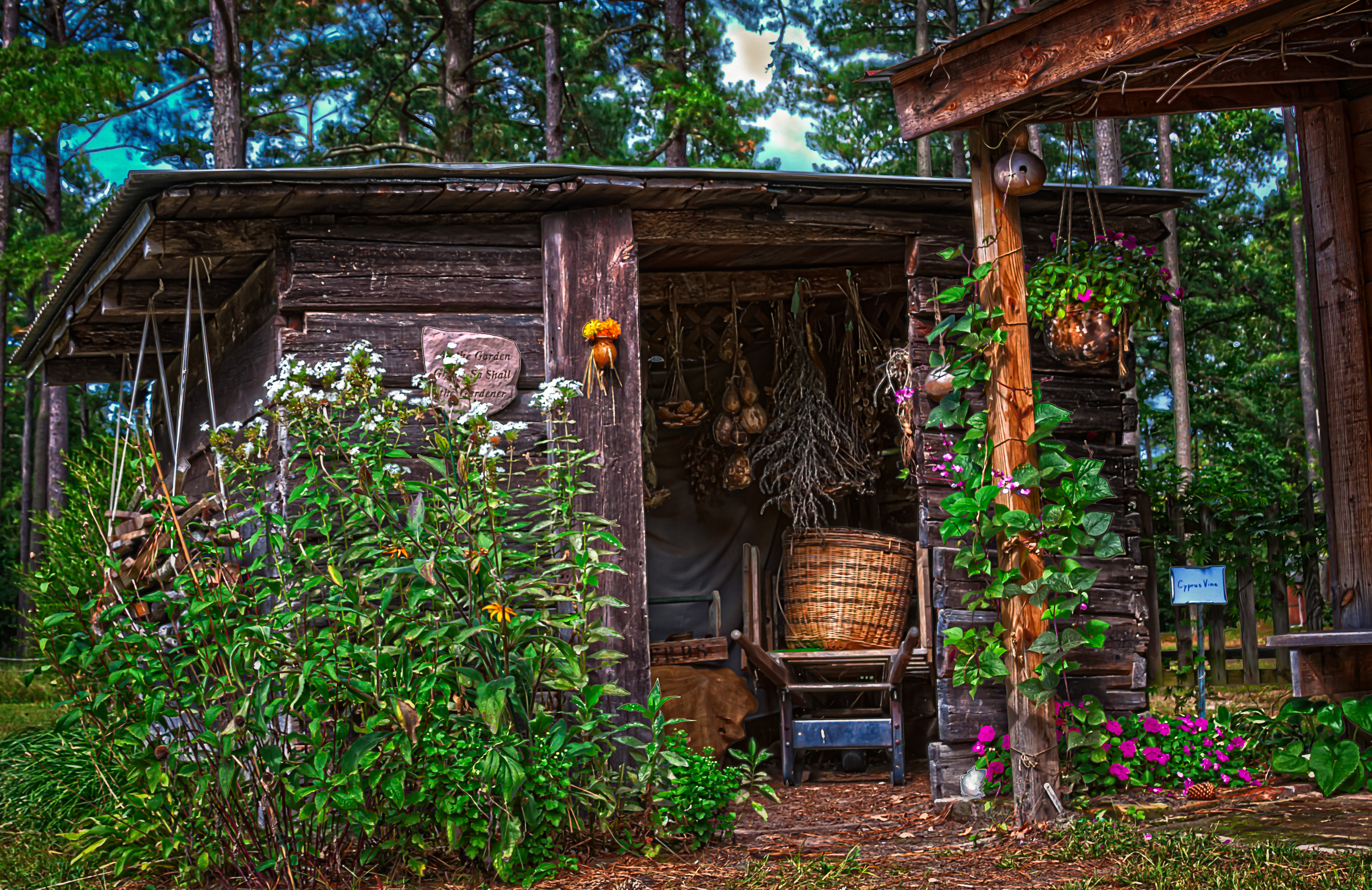 Ulisa: Interior garden shed ideas