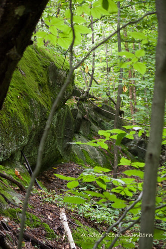 Views of the bottom tier of the cliffs-1.jpg