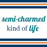 200x200 Button for Semi-Charmed Kind of Life