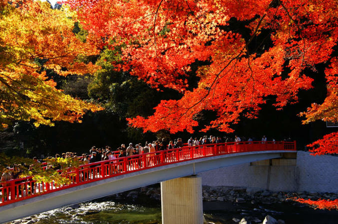 全国のおすすめ 紅葉スポット6選