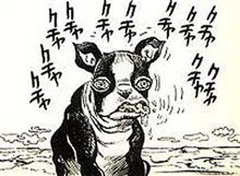 イギー ザ フール
