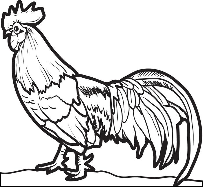 Free Coloring Pages For Chickens Download Free Coloring Pages For Chickens Png Images Free Cliparts On Clipart Library