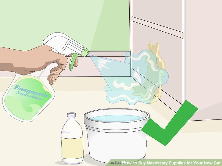 Buy Necessary Supplies for Your New Cat Step 12.jpg
