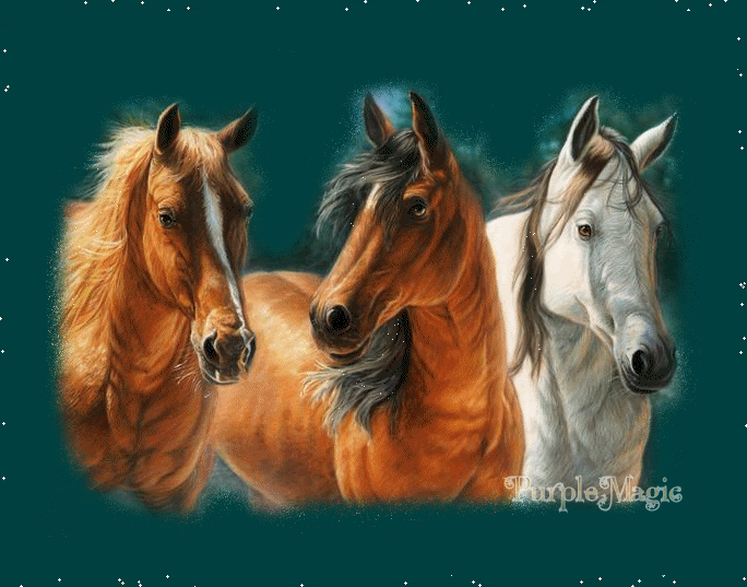 Gif Chevaux Anime