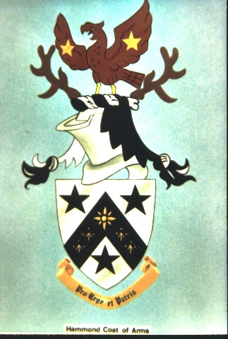 Since then, I've added five more, and have plenty of ideas for other tattoos 