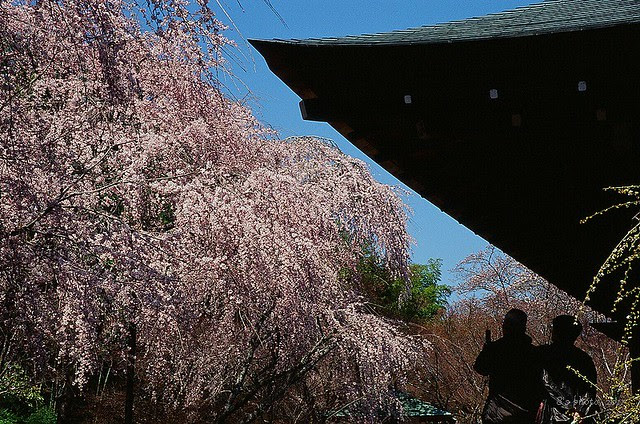 天龍寺