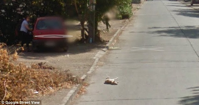However, in a later image, the dog appears to have moved - sowing it survived the impact, or may even have been simply rolling on the ground.
