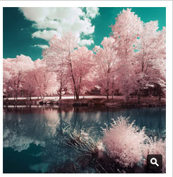 Infrascapes in Somogy - L by DimensionSeven