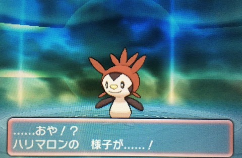 最も欲しかった ハリボーグ ポケ とる ポケモンの壁紙