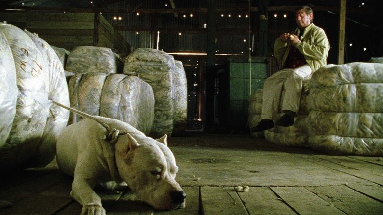 Bombon le chien français 2004