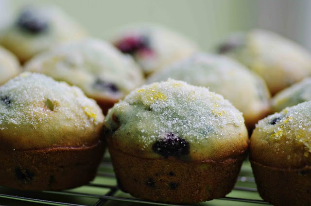 Blueberry Lemon Muffins