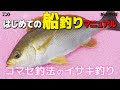 いろいろ イサキ 釣り エサ 649978