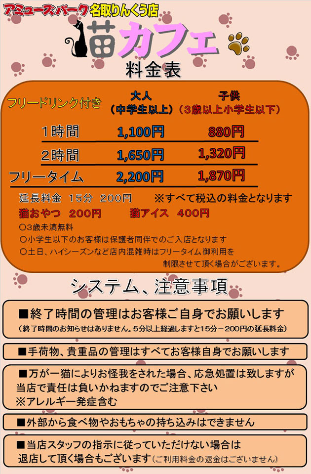 猫カフェ アミューズパーク名取りんくう店