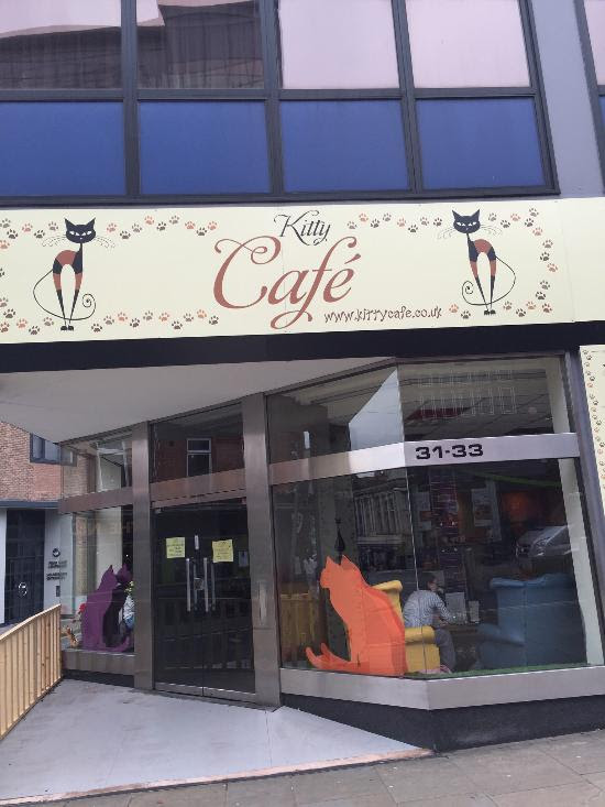 Kitty Cafe  Nottingham Restaurant  Reviews Phone Number 