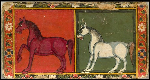Nepal Horse Book a