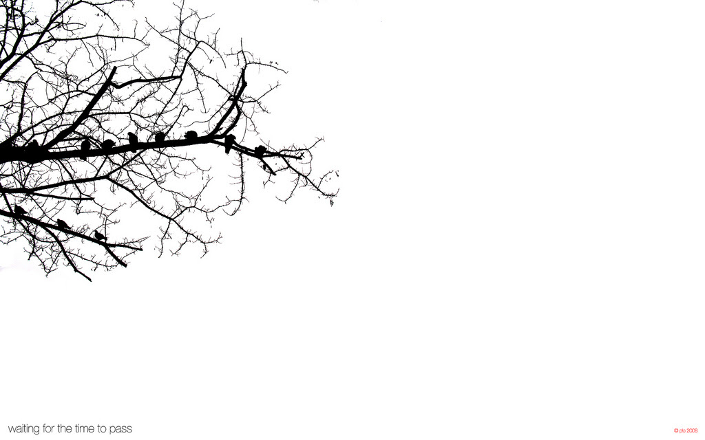 モノクロの壁紙 Wallpaper Pad 壁紙まとめサイト