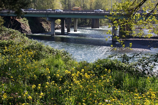 I-205 Bridge, High Rocks