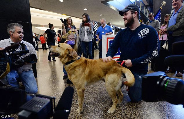 This is the heartwarming moment a former Marine corporal was reunited with his military dog four years after they served in Afghanistan together
