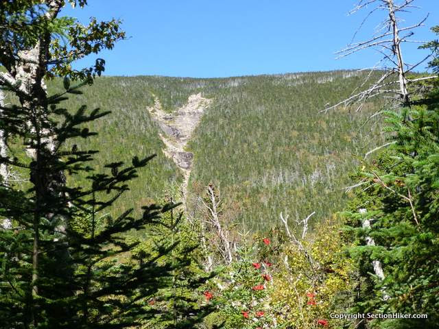 Arrow Slide - an avalanche landslide that bushwhackers climb on North Hancock Mountain
