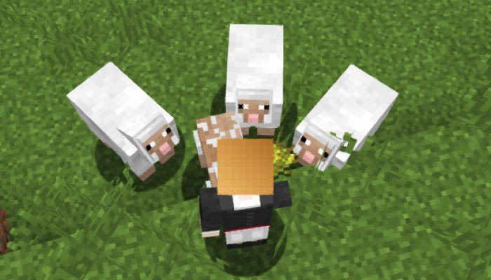 マインクラフトpc Pe 羊の入手方法と繁殖の仕方 羊毛の使い道と染色について マイクラモール